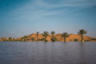 Images. Merzouga, une oasis inattendue après des pluies exceptionnelles