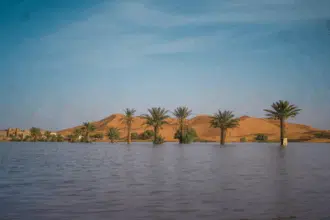 Images. Merzouga, une oasis inattendue après des pluies exceptionnelles