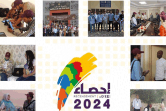 RGPH 2024 : fin de l'opération de collecte des données auprès des ménages