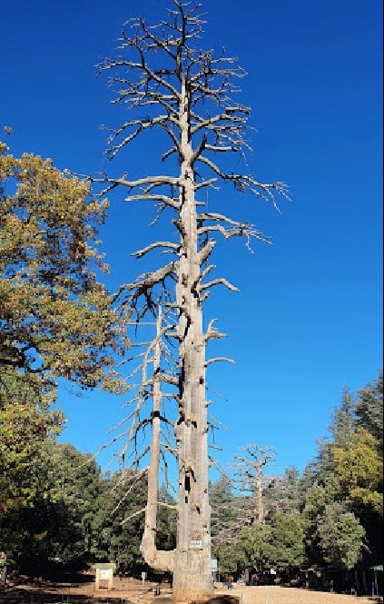 À Ifrane, le site de Ras El Ma va s’offrir une cure de jouvence
