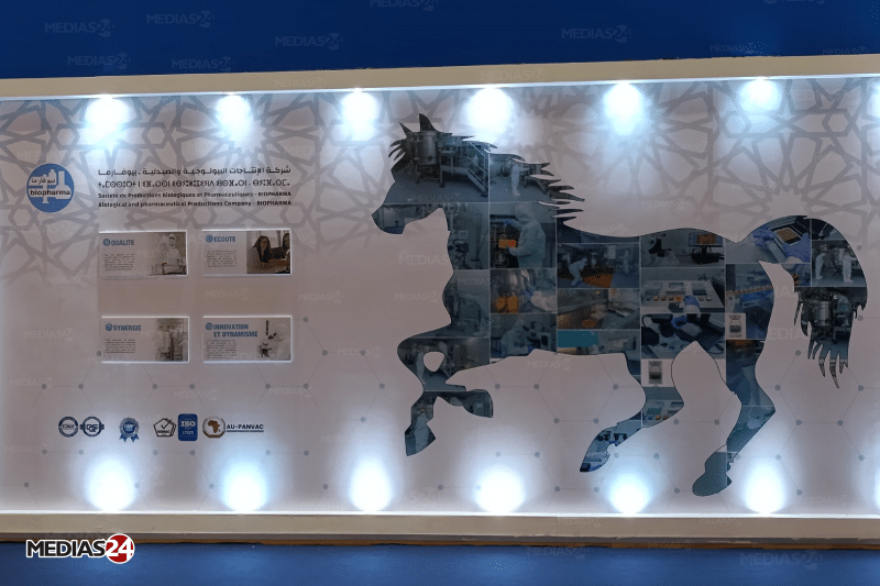 Près de 200.000 visiteurs à la 15e édition du Salon du cheval d'El Jadida Près de 200.000 visiteurs à la 15e édition du Salon du cheval d'El Jadida