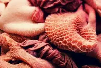 Les abats n'échappent pas à la flambée des prix de la viande rouge au Maroc