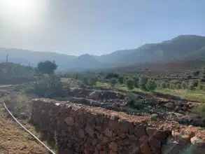 Projet cuivre-or Alouana : début imminent des forages par Royal Road Arabia dans la province de Taourirt