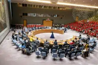 Sahara. La prochaine résolution du Conseil de sécurité en octobre sera déterminante (Ahmed Faouzi)