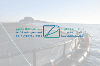 Aquaculture : 232 fermes à l’horizon 2025, quelque 2.720 emplois directs à la clé