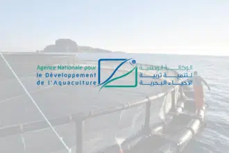 Aquaculture : 232 fermes à l’horizon 2025, quelque 2.720 emplois directs à la clé