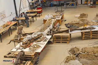 Fossiles. Serait-il possible de valoriser ce commerce au Maroc ?