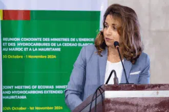 Gazoduc Atlantique Africain : l'accord intergouvernemental validé pour une signature au plus tard au premier trimestre 2025
