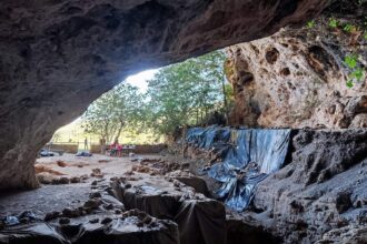 Découverte à Taforalt de la plus ancienne utilisation médicinale des plantes au monde