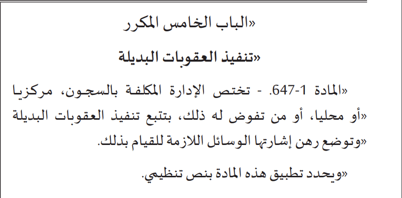 Peines alternatives : les réserves de Mohamed Salah Tamek