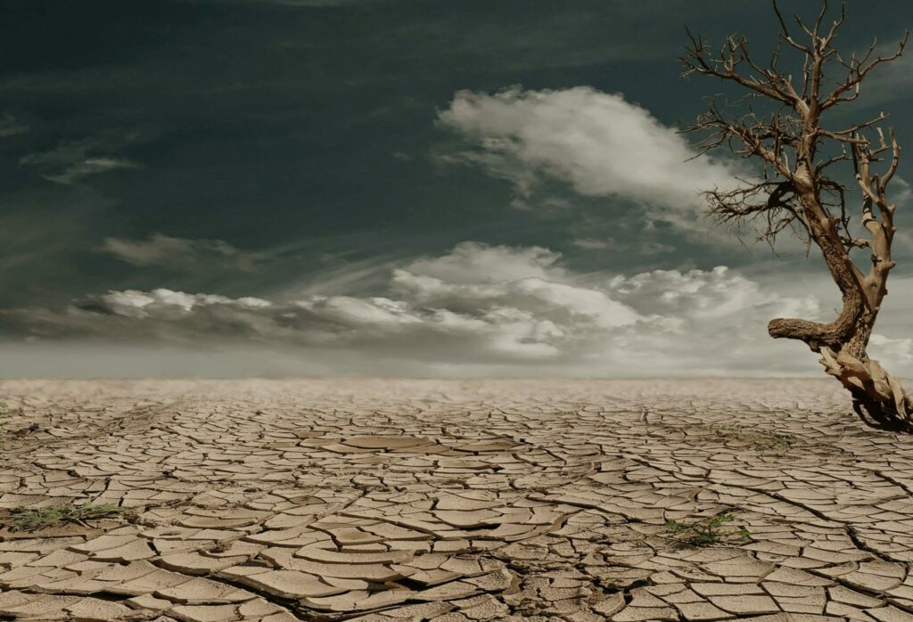 rechauffement climatique