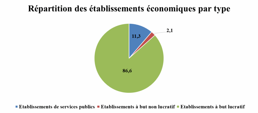 RGPH 2024. La santé n'occupe que 2,8% des établissements de services publics