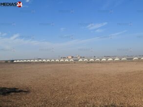 REPORTAGE. Dans le Souss, la reconversion des agriculteurs aux fruits rouges, ultime parade à leur perte de compétitivité