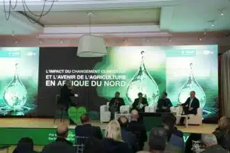BASF Maroc présente ses innovations agricoles à Marrakech