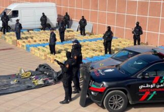 Saisie de 9,8 tonnes de drogue à Imintanout, six arrestations