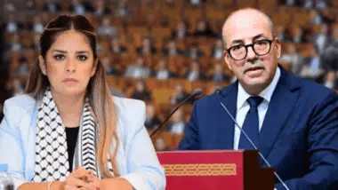 Sécheresse et prix du poisson : une question qui fait débat et des réponses qui surprennent