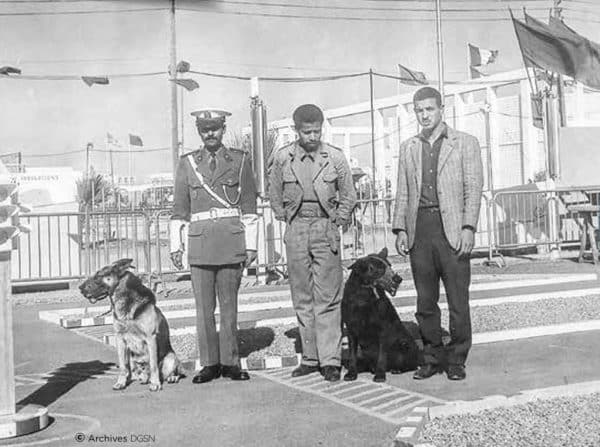 Pleins feux sur la police cynotechnique dans le dernier numéro de la Revue de Police