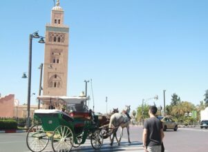 Centre des foires et d’exposition de Marrakech : Labotest choisi pour l’étude géotechnique
