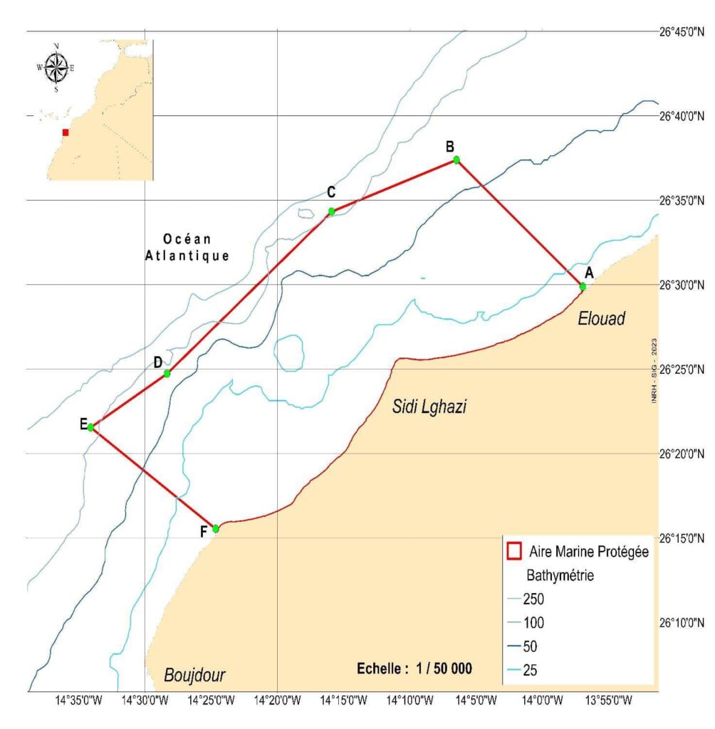 Le Maroc renforce son réseau d'aires marines protégées