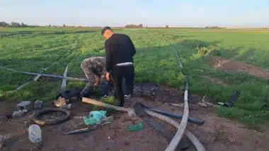 Cultures irriguées en eaux usées à Oulad Saleh : voici les premiers détails, la Justice saisie (source autorisée)