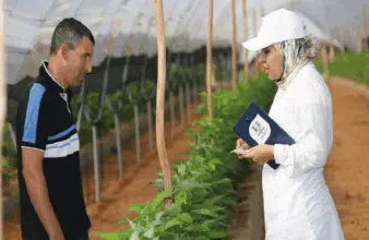 Oléiculture : des rendements en hausse de 19% à 38% grâce aux plateformes de démonstration d'Al Moutmir