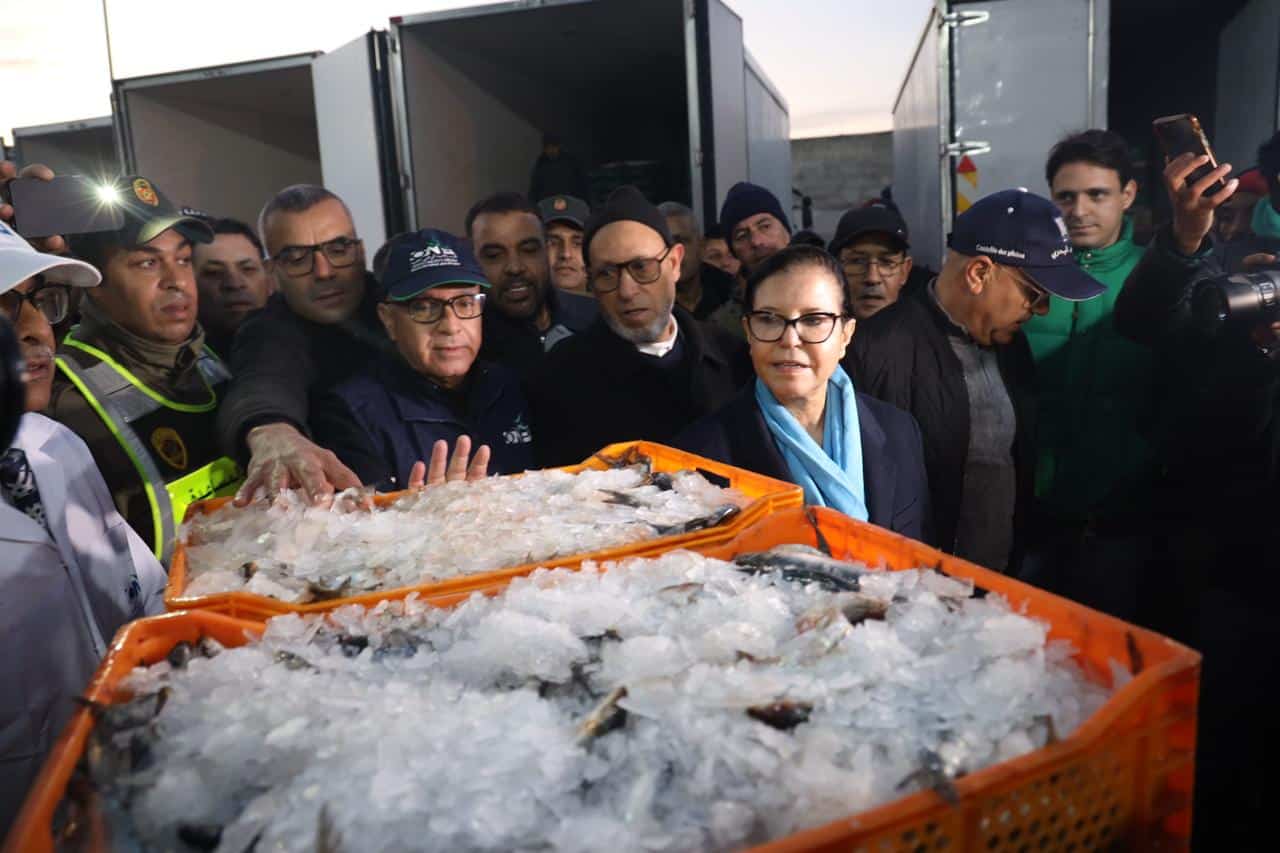 Reportage. Les sardines vendues entre 2 DH et 12,50 DH au marché de gros de Casablanca