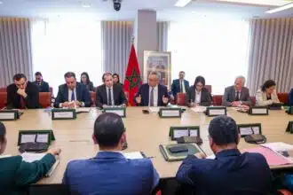 Le projet Hydrogène vert de TotalEnergies &ldquo;avance selon les engagements pris&rdquo;