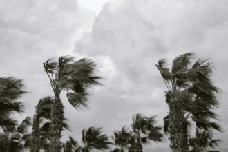 Alerte Météo. Fortes rafales de vent et chasse-poussières ce jeudi 20 mars