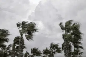 Alerte Météo. Fortes rafales de vent et chasse-poussières ce jeudi 20 mars