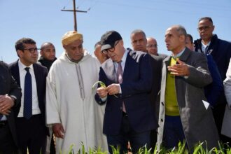 Emploi : le gouvernement promet de soutenir les entreprises agricoles des jeunes en milieu rural (El Bouari)