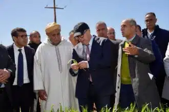 Emploi : le gouvernement promet de soutenir les entreprises agricoles des jeunes en milieu rural (El Bouari)