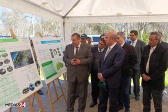 L’ANEF célèbre la journée internationale des forêts