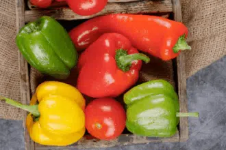 Rappel de poivrons marocains en Allemagne : deux lots issus d’un seul verger identifiés par l’ONSSA