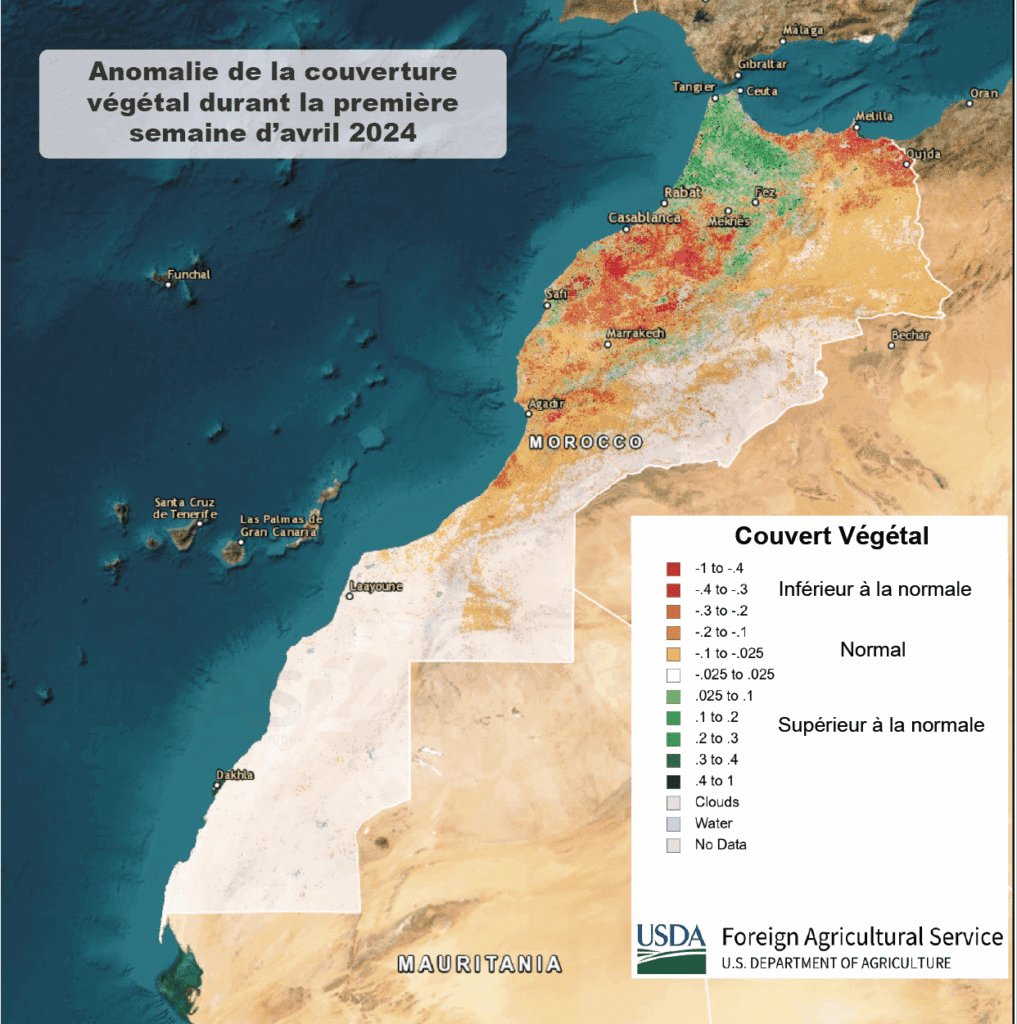 Campagne céréalière 2024-2025 : des pluies bénéfiques, mais des résultats encore limités (rapport US)
