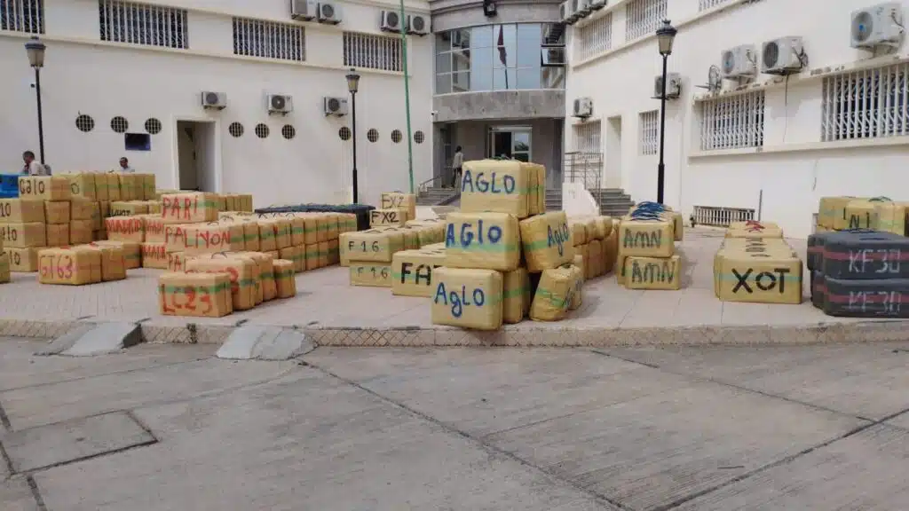 Sidi Kacem : saisie de 25 tonnes de chira destinées à l’Europe (DGSN)