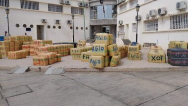 Sidi Kacem : saisie de 25 tonnes de chira destinées à l’Europe (DGSN)