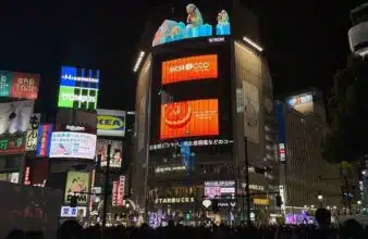Les agrumes marocains font leur entrée sur le marché japonais
