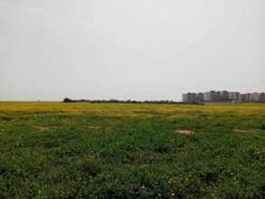 Les prévisions météo pour le dimanche 20 avril 2025