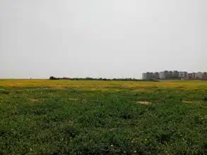 Les prévisions météo pour le dimanche 20 avril 2025