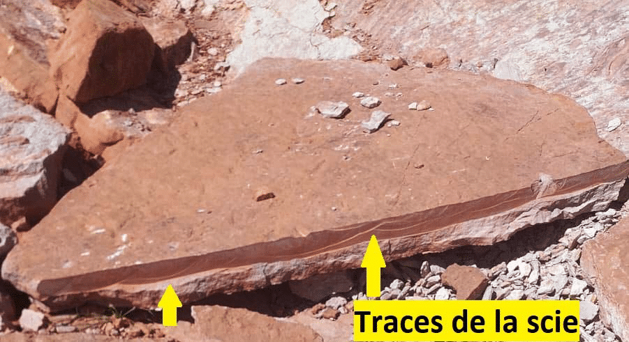 Patrimoine géologique en péril : destruction et pillage d’une dalle portant des empreintes de ptérosaures, près de Midelt