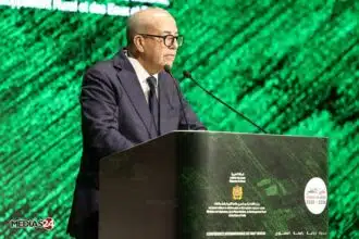 Campagne céréalière : le Maroc table sur une récolte de 44 millions de quintaux