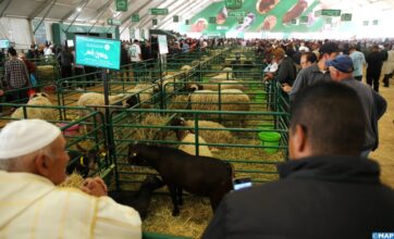 Clôture de la 17e édition du SIAM à Meknès
