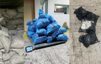 Saisie de 514 kg de cocaïne, en provenance d'Amérique latine, au port de Tanger Med