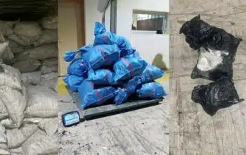 Saisie de 514 kg de cocaïne, en provenance d'Amérique latine, au port de Tanger Med