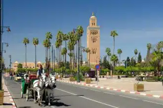 Tourisme d'affaires : accélération du projet de Marrakech Convention & Exhibition Center