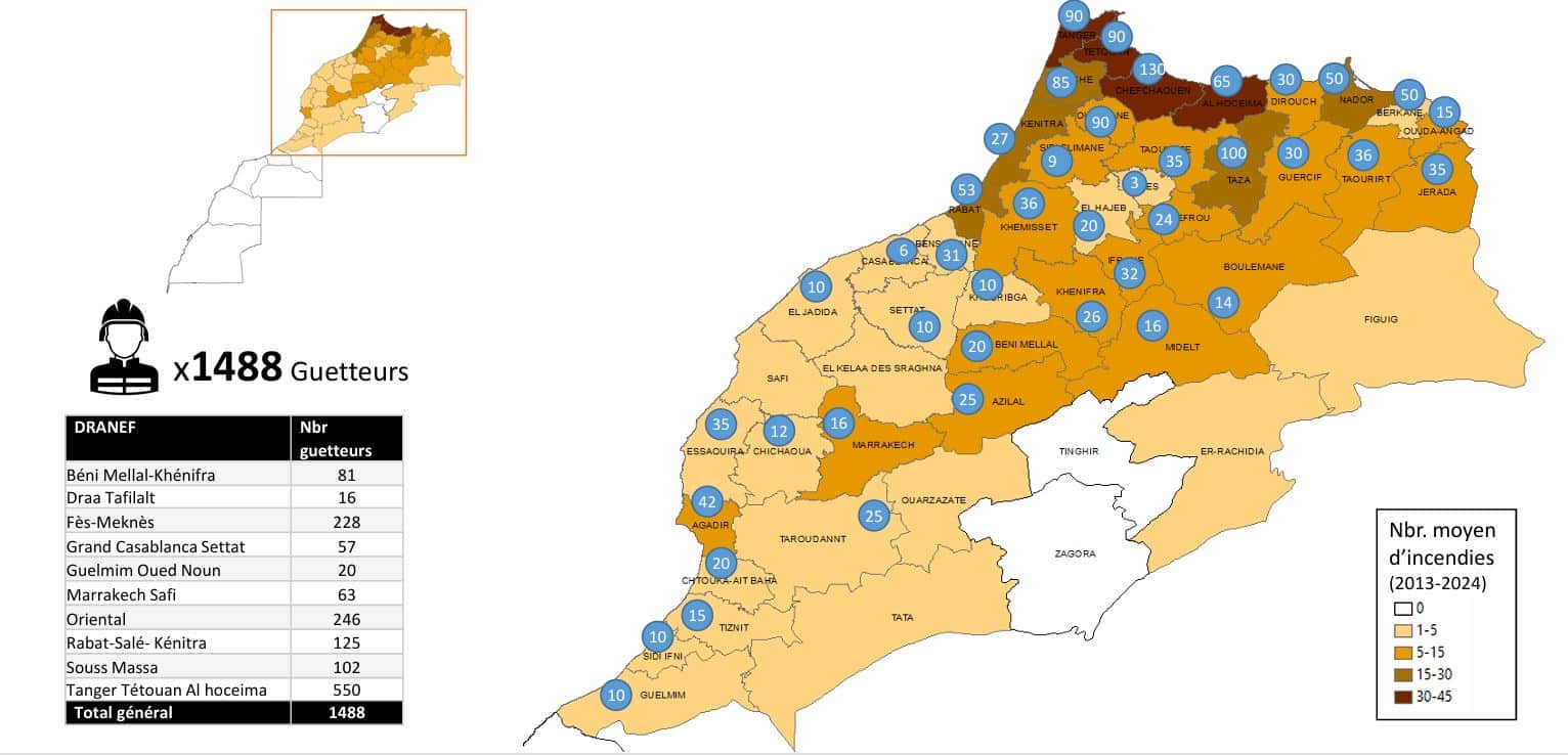 Prévention des feux de forêt : un budget de 160 MDH pour l'été 2025