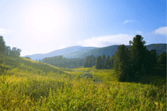 Temps chaud, orages et vents : ce que prévoit la météo pour les 10 prochains jours