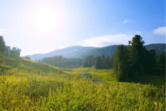 Temps chaud, orages et vents : ce que prévoit la météo pour les 10 prochains jours
