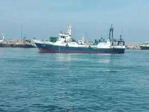 PHIASUD : les Slimani cèdent leurs parts à la société mère