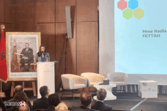 En direct. Séminaire de présentation des lignes directrices de l'OCDE sur la gouvernance des entreprises publiques